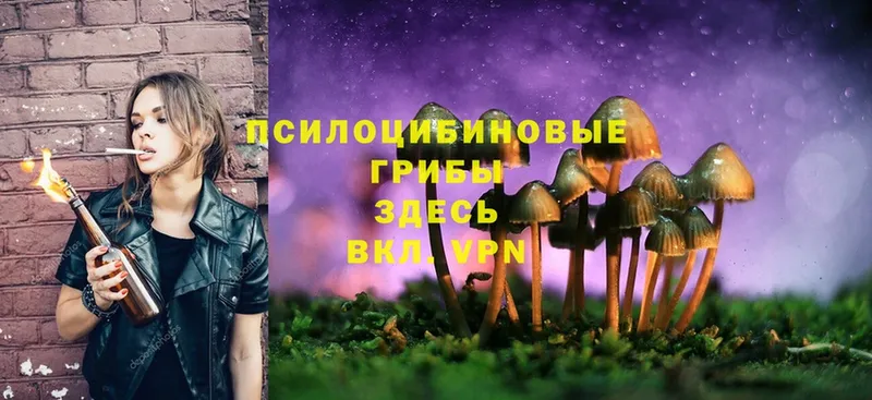 Галлюциногенные грибы MAGIC MUSHROOMS  Ревда 